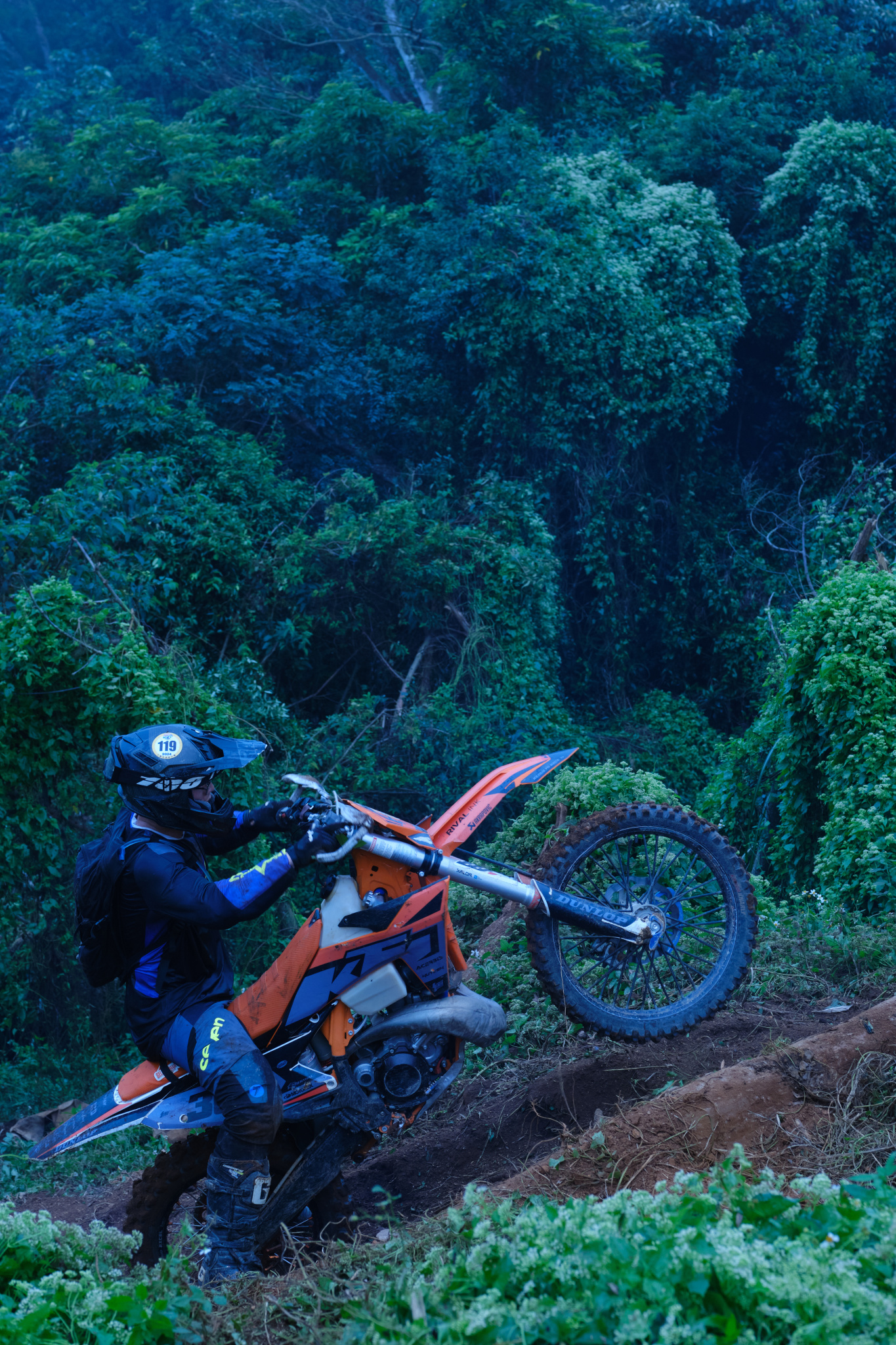 TORRA 三義 比賽 2024.11