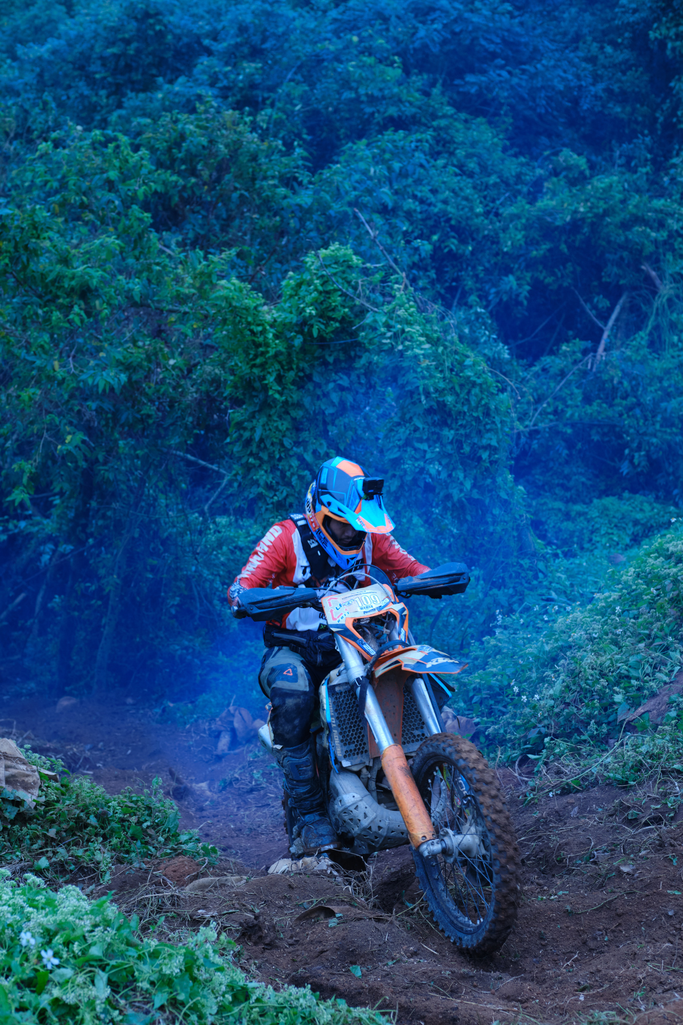 TORRA 三義 比賽 2024.11