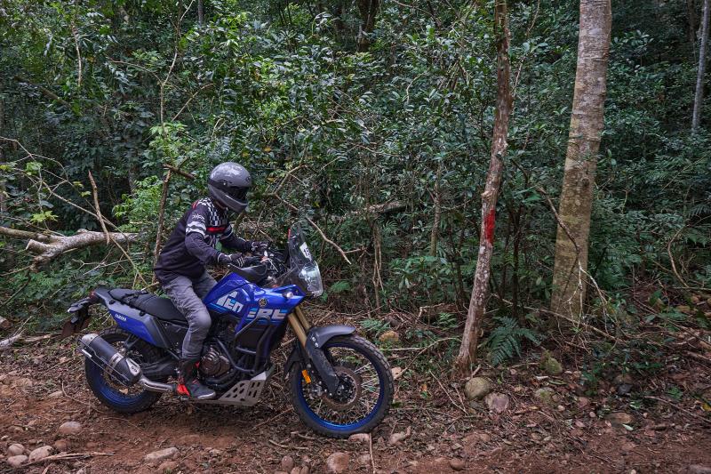 TORRA 三義 比賽 2022.10 // TORRA Sanyi Race 2022.10