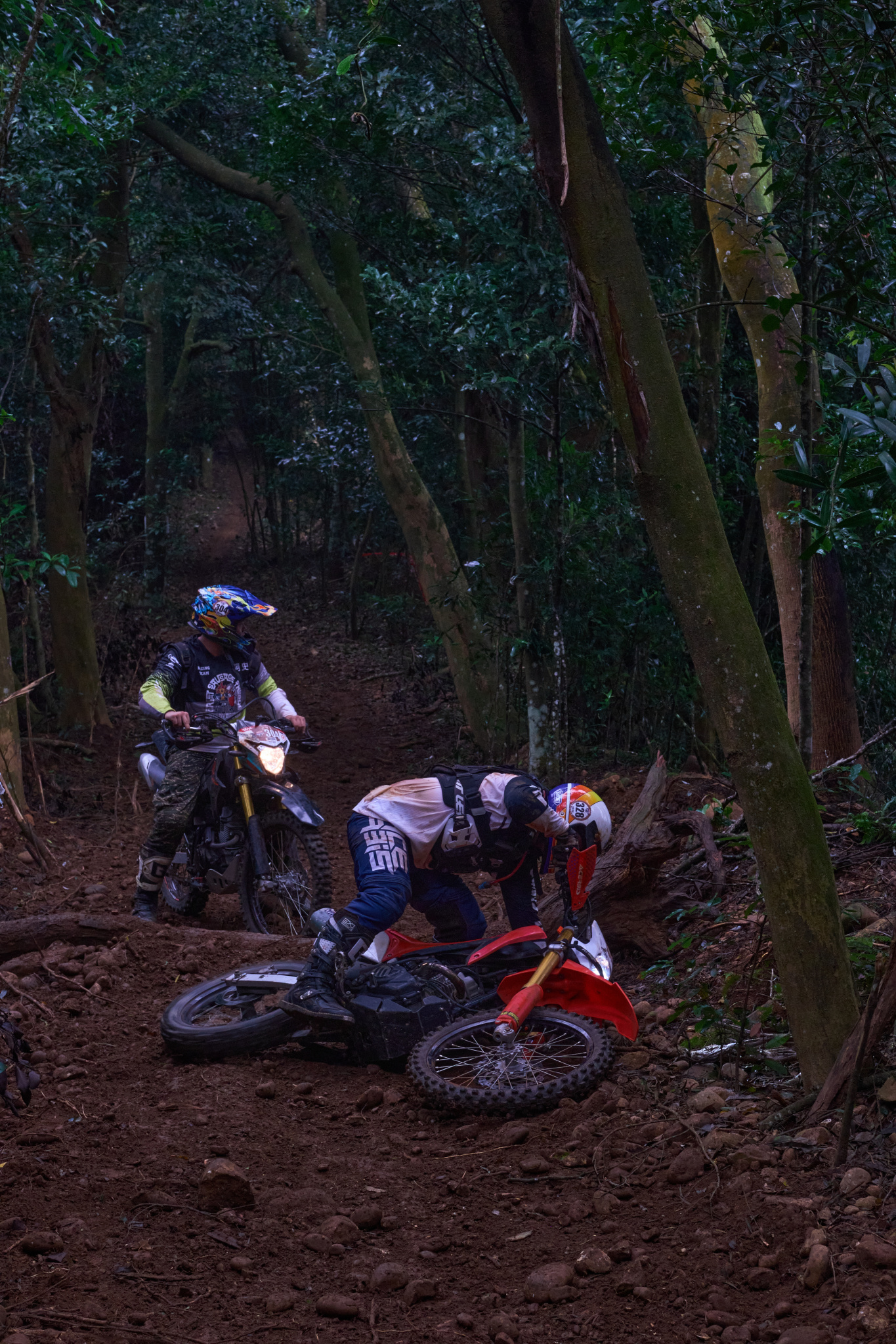 TORRA 三義 比賽 2024.11