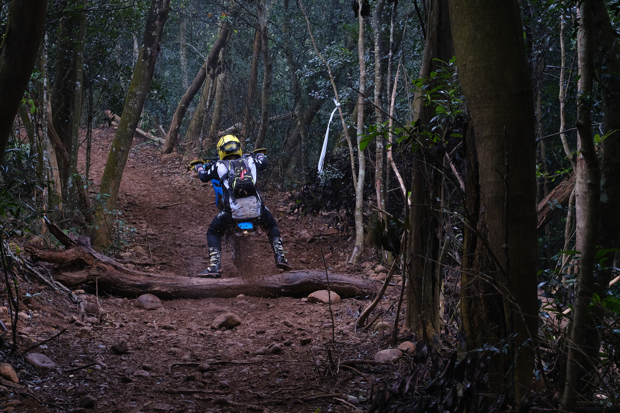 TORRA 三義 比賽 2024.11