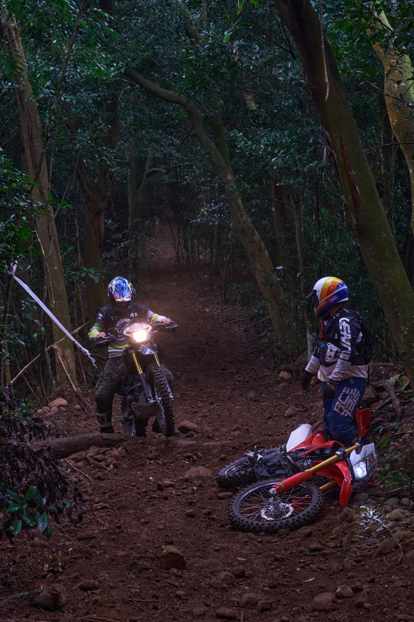 TORRA 三義 比賽 2024.11