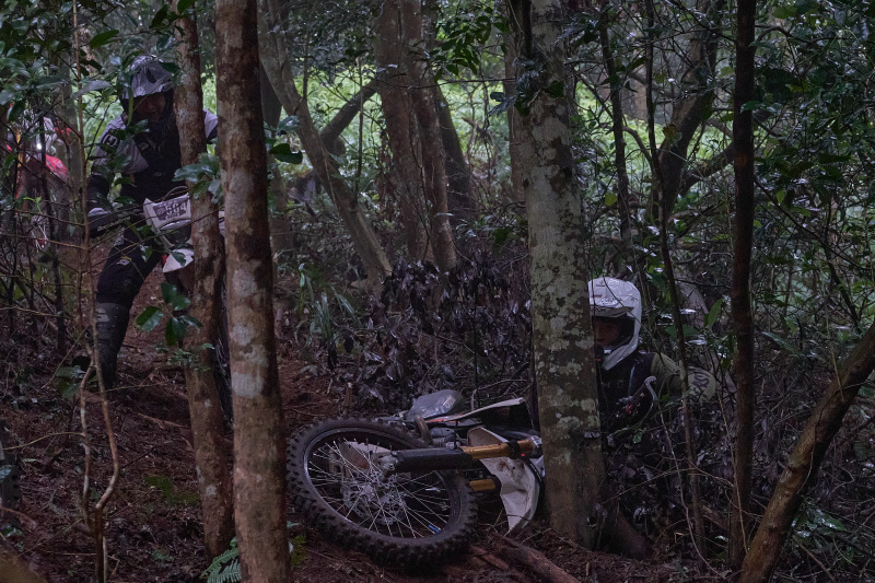 TORRA 三義 比賽 2024.11