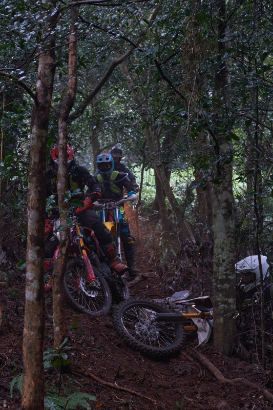 TORRA 三義 比賽 2024.11