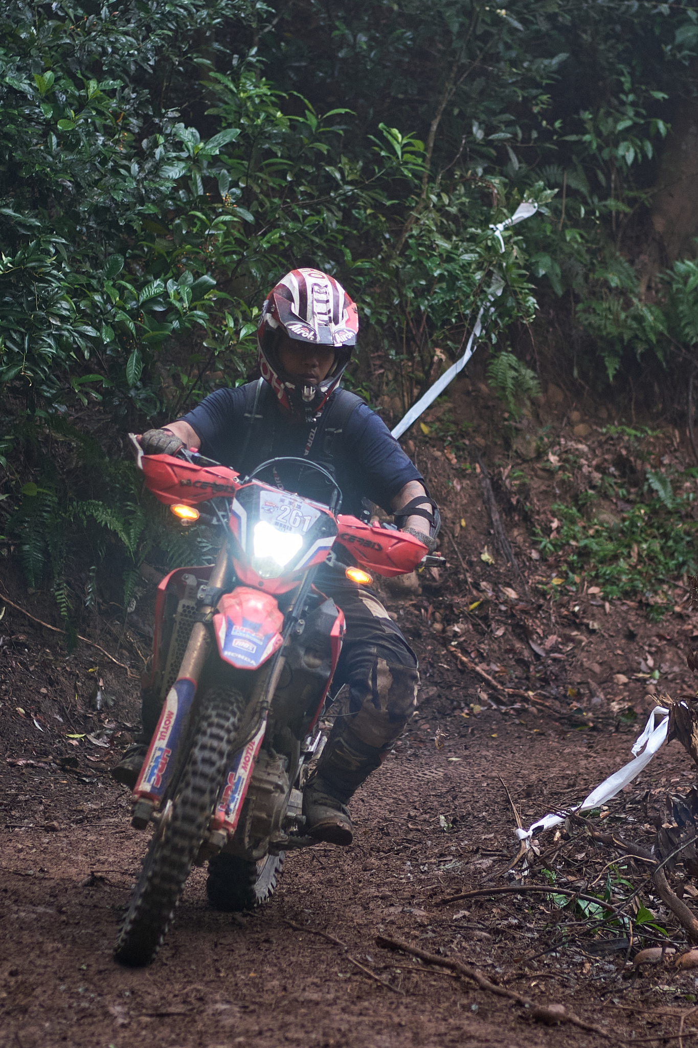 TORRA 三義 比賽 2024.11