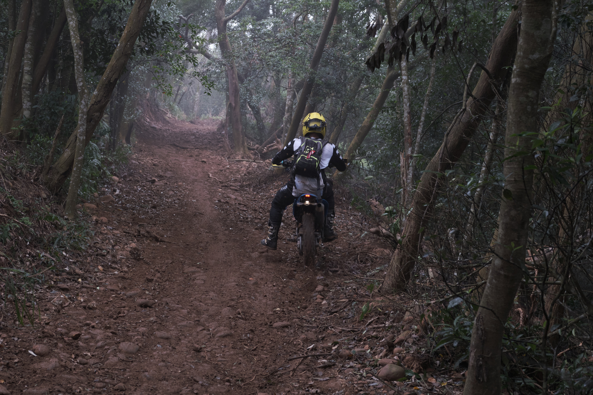 TORRA 三義 比賽 2024.11