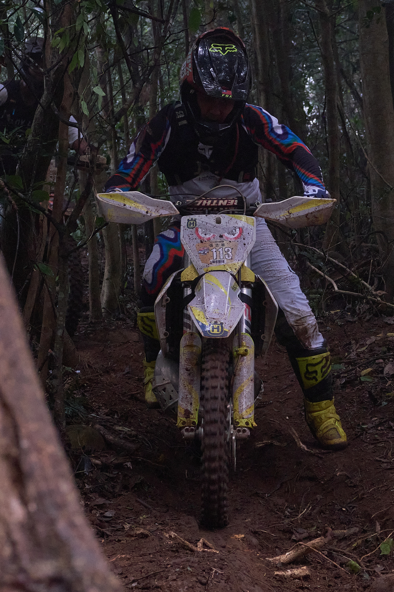 TORRA 三義 比賽 2024.11