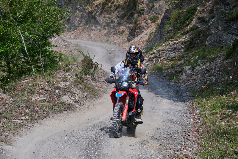 丹大林道 // Danda Forest Road