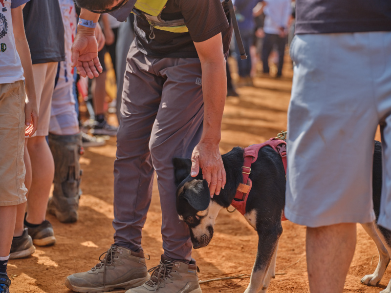 TORRA 三義 比賽 2025.11 // TORRA Sanyi Race 2025.11