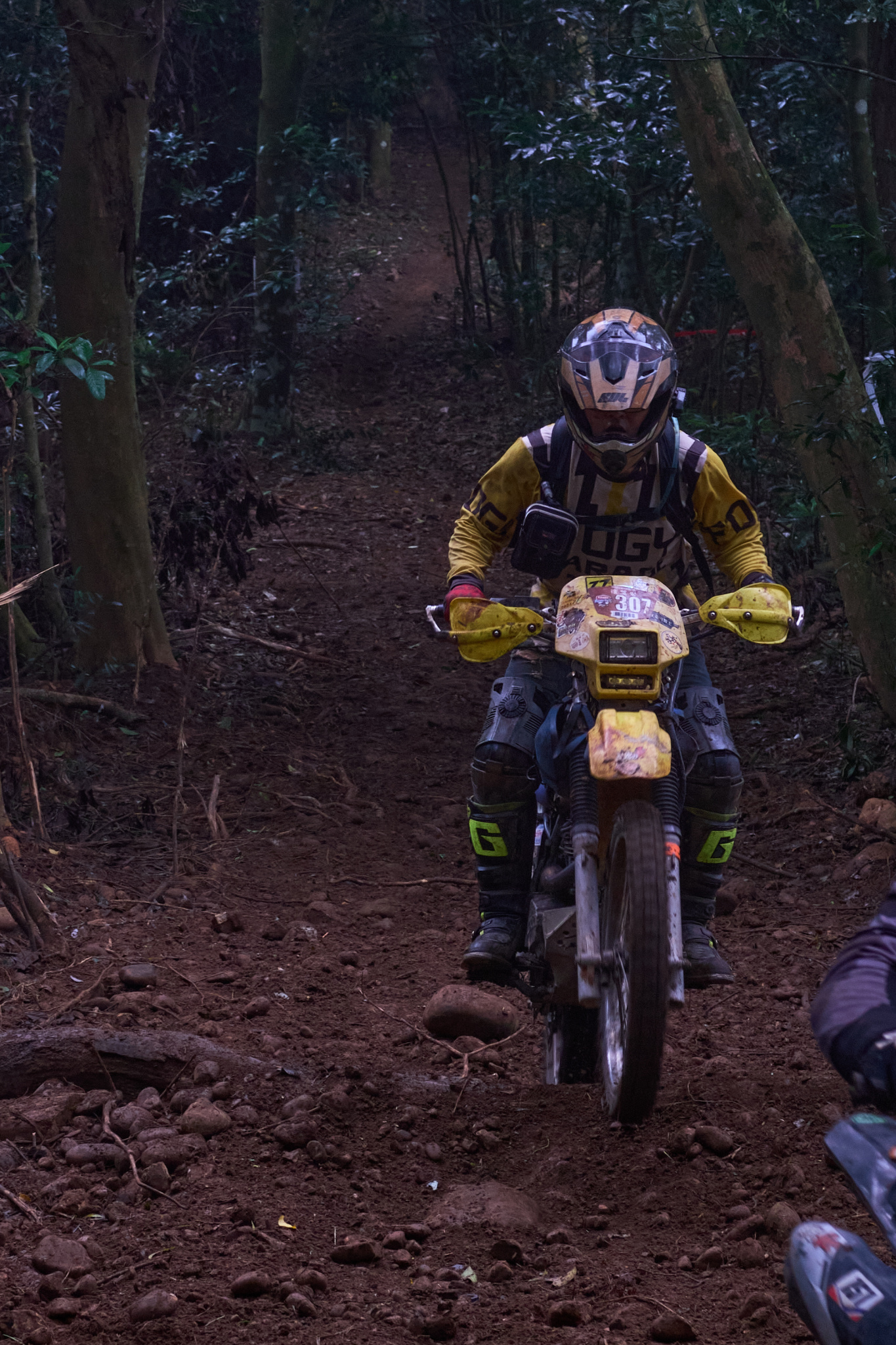 TORRA 三義 比賽 2024.11