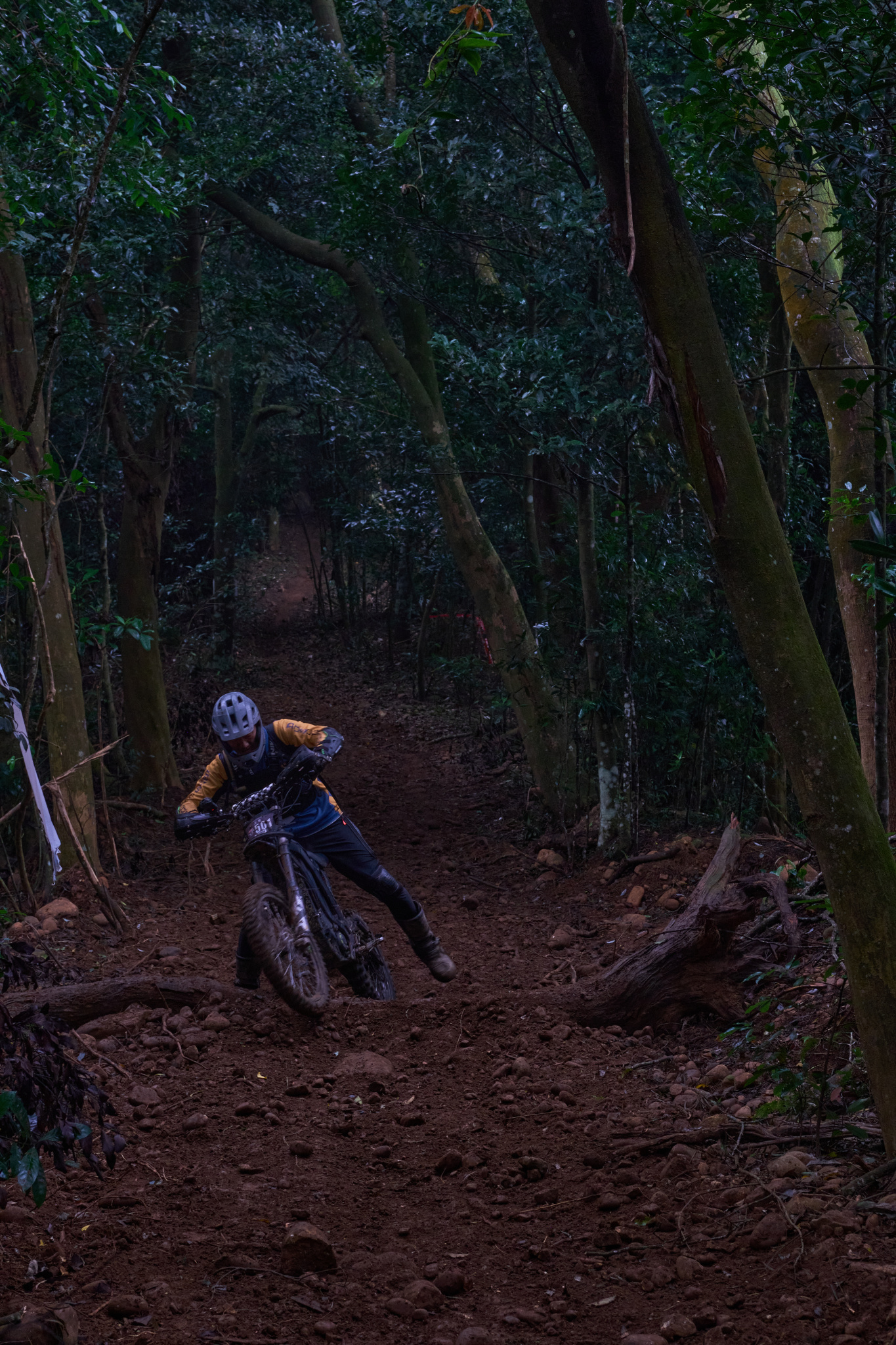 TORRA 三義 比賽 2024.11