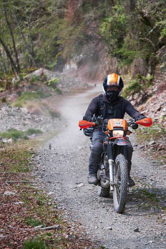 丹大林道 // Danda Forest Road