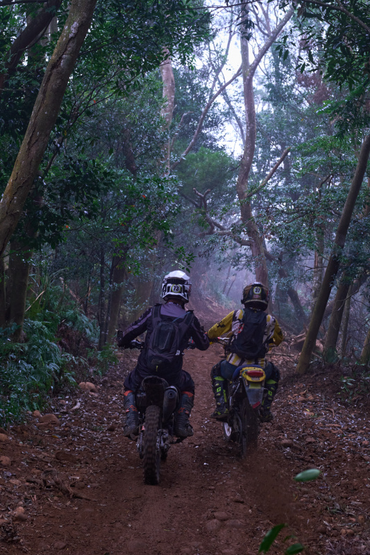 TORRA 三義 比賽 2024.11