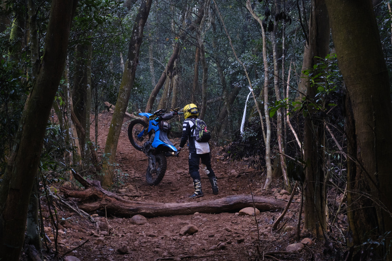 TORRA 三義 比賽 2024.11