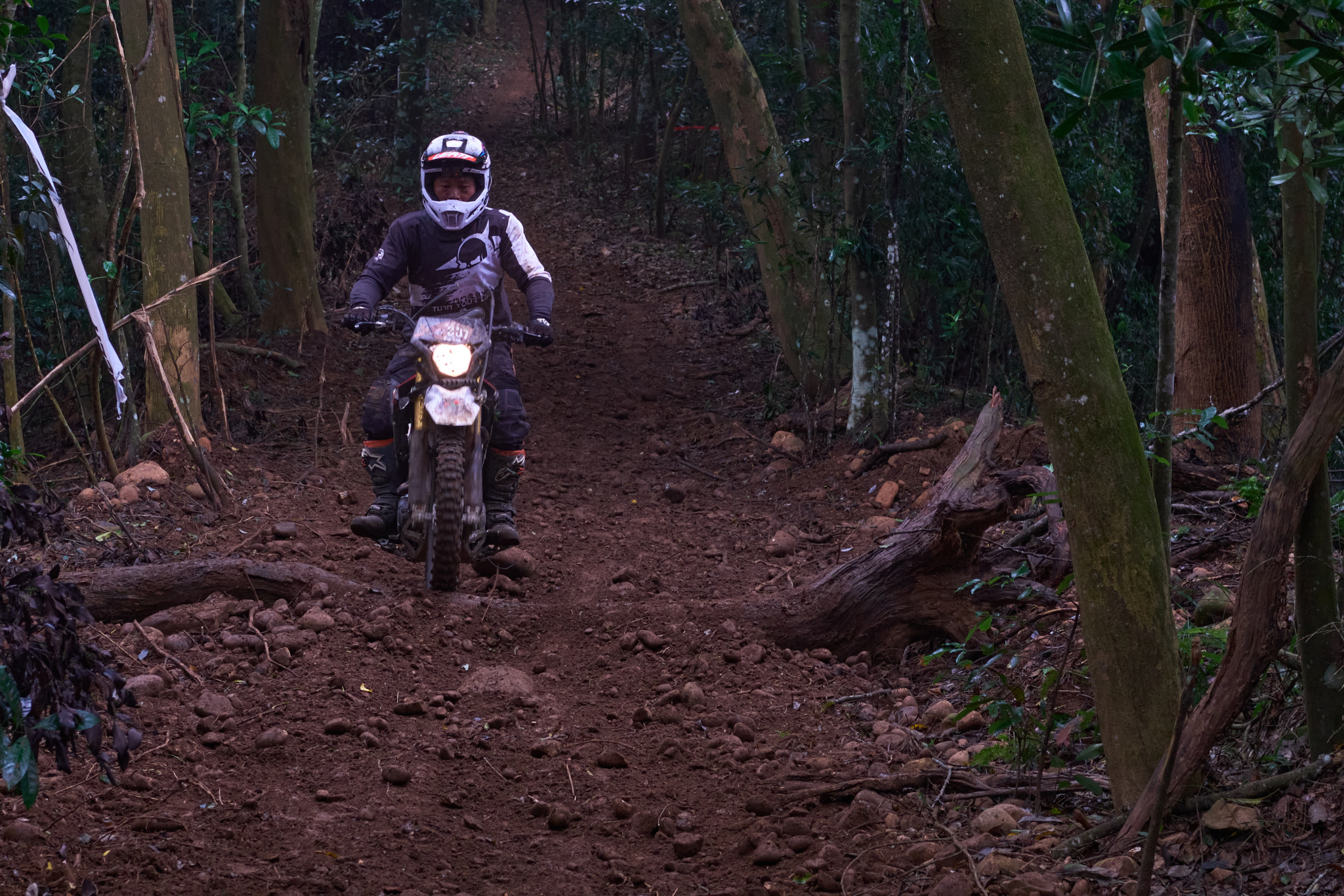 TORRA 三義 比賽 2024.11