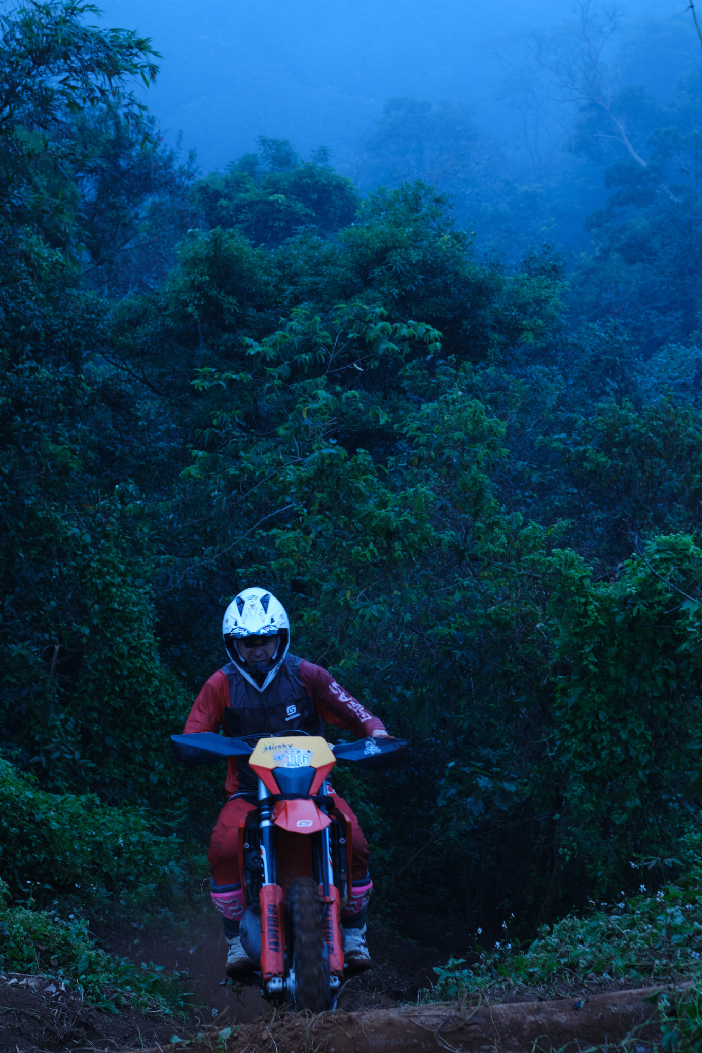 TORRA 三義 比賽 2024.11