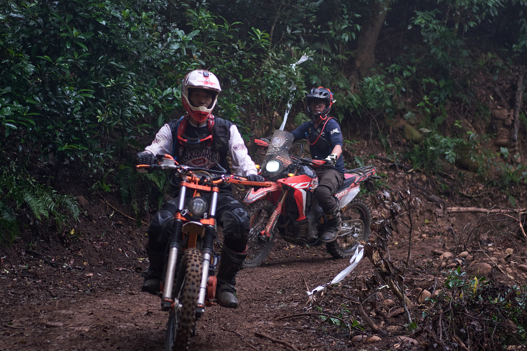 TORRA 三義 比賽 2024.11