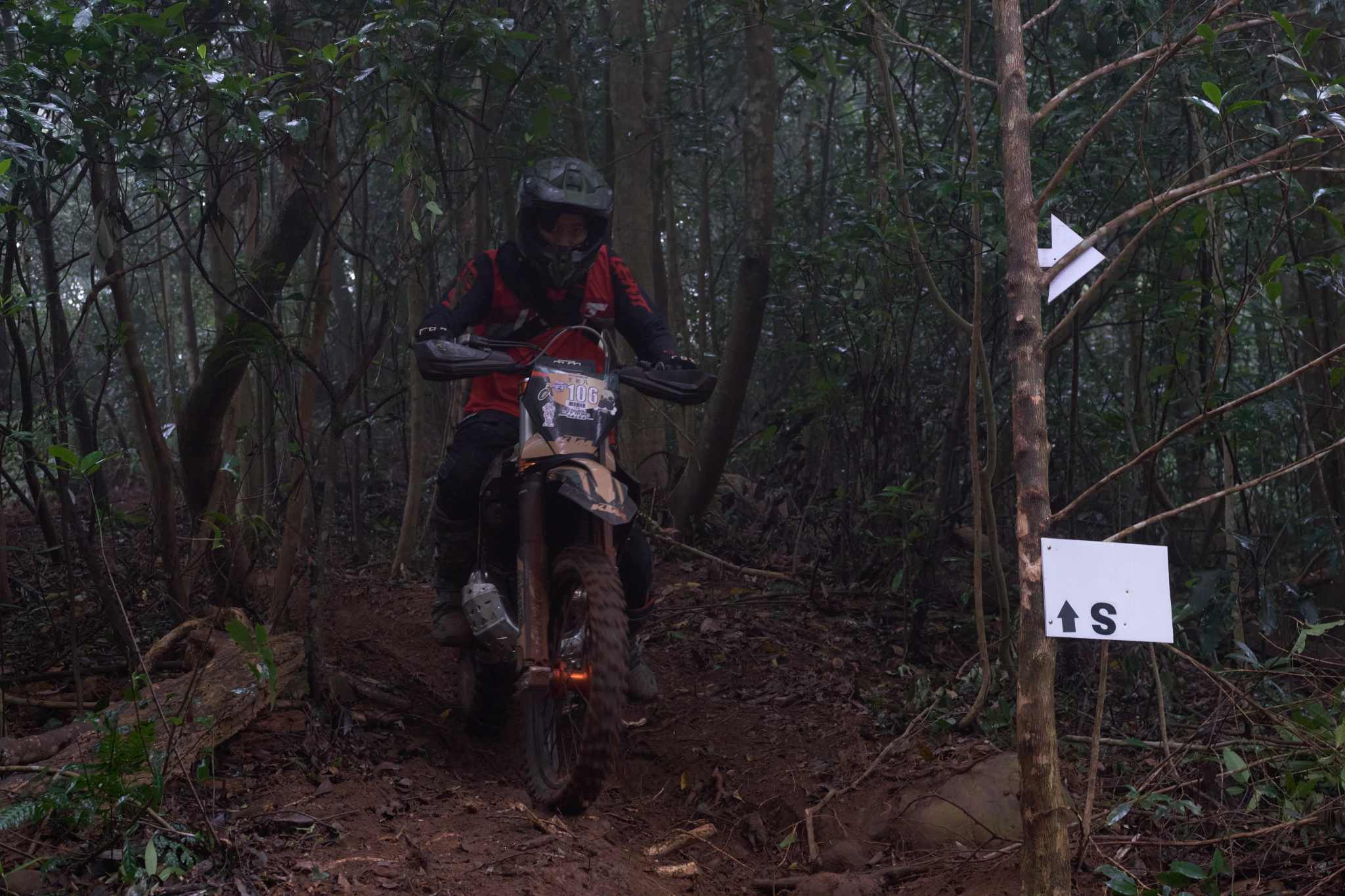 TORRA 三義 比賽 2024.11