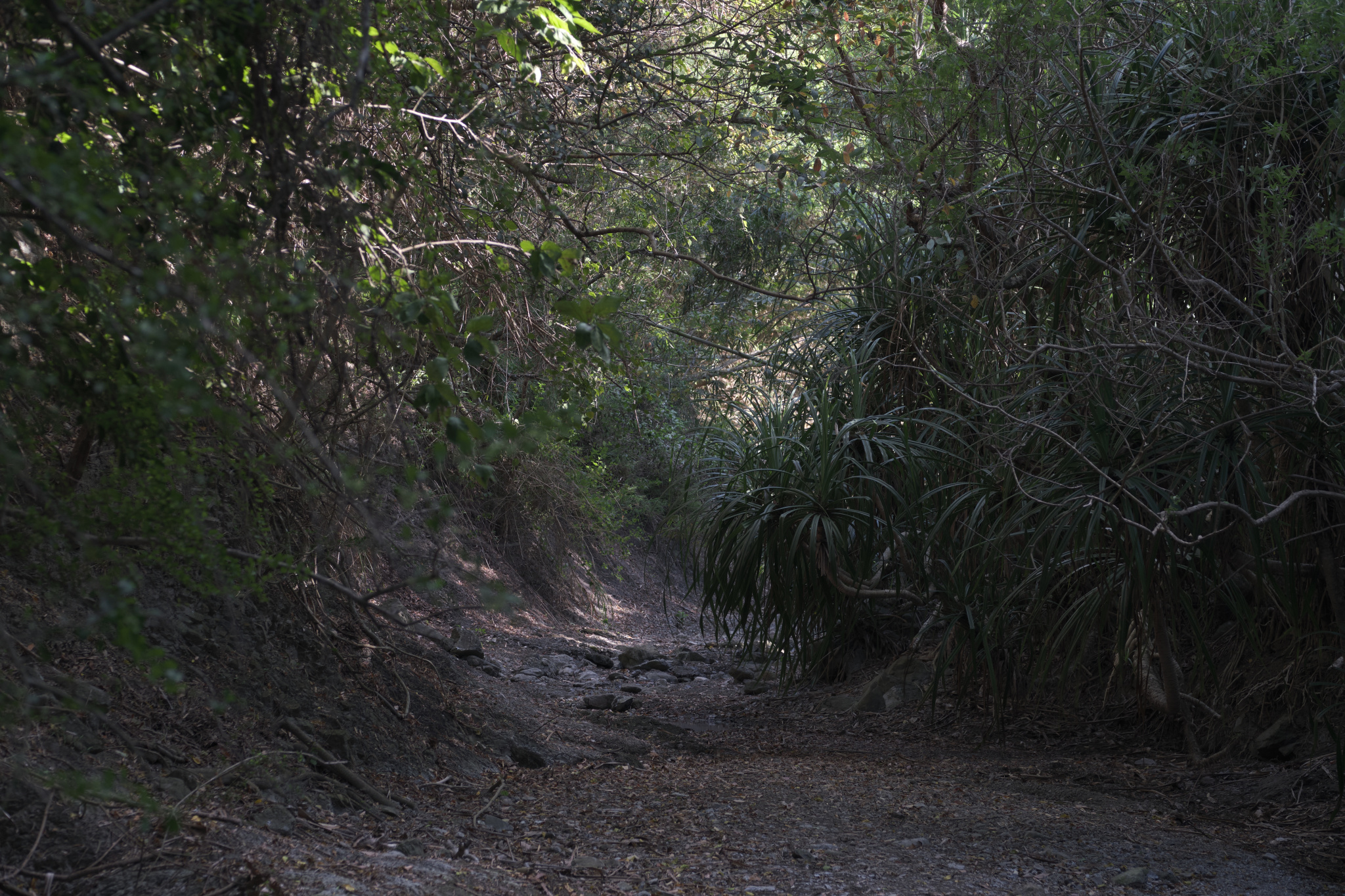 墾丁大會師 (2022) // Kenting Grand Meeting (2022)