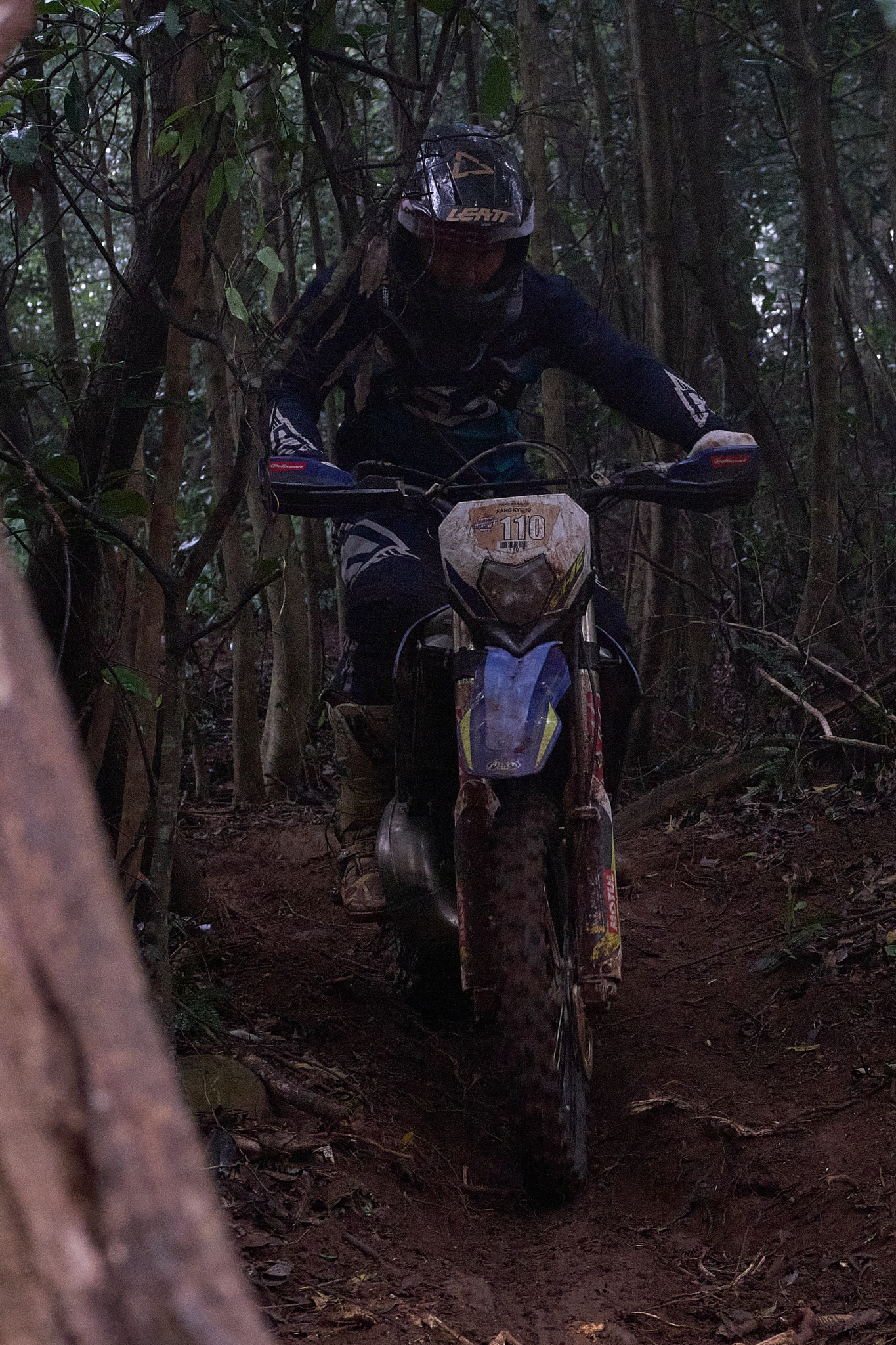 TORRA 三義 比賽 2024.11