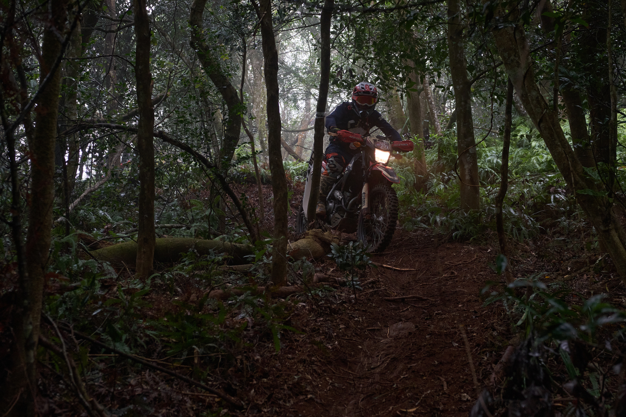 TORRA 三義 比賽 2024.11