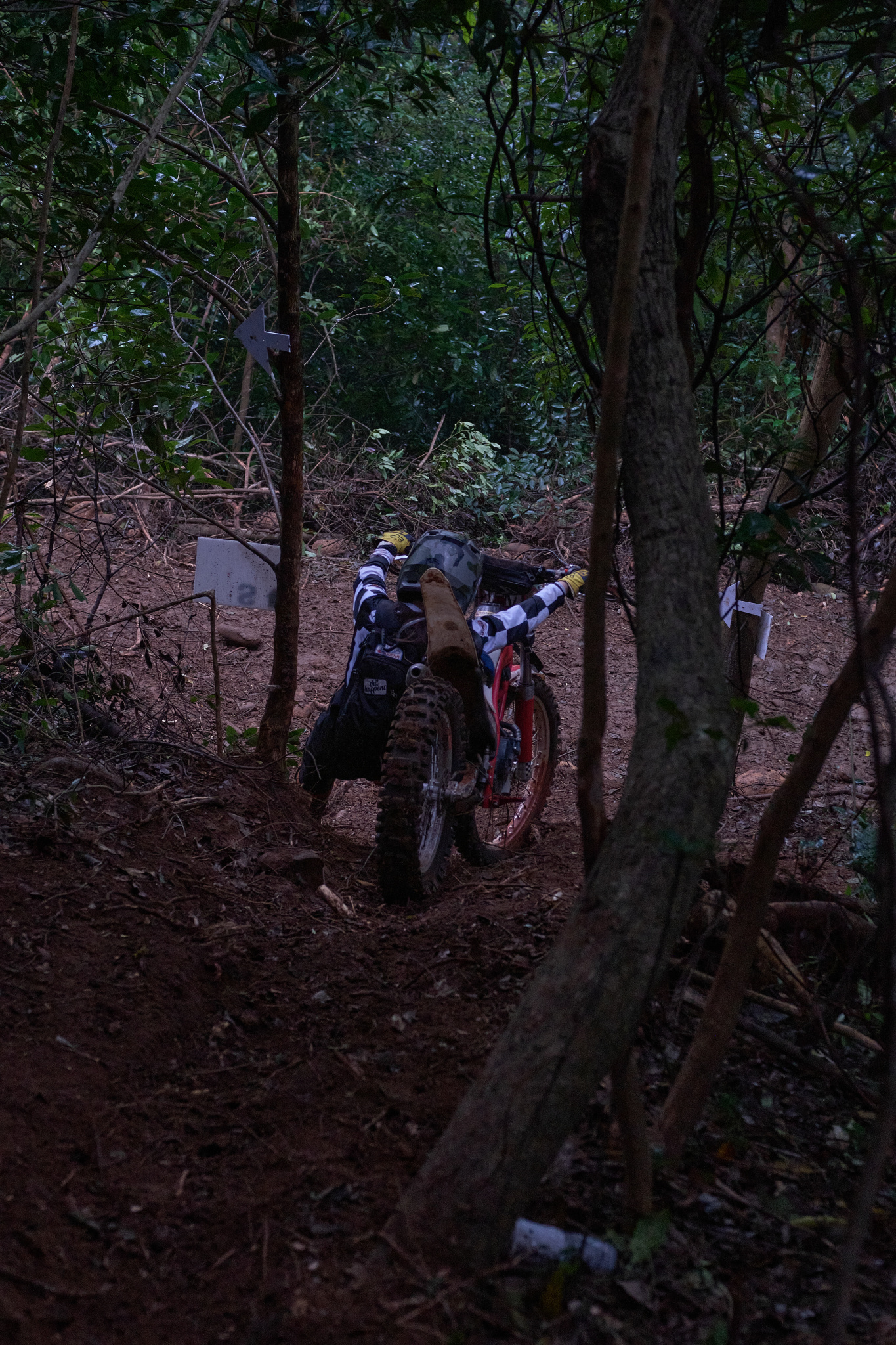 TORRA 三義 比賽 2024.11