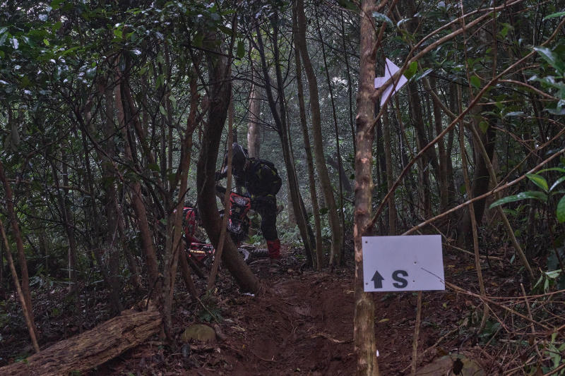 TORRA 三義 比賽 2024.11