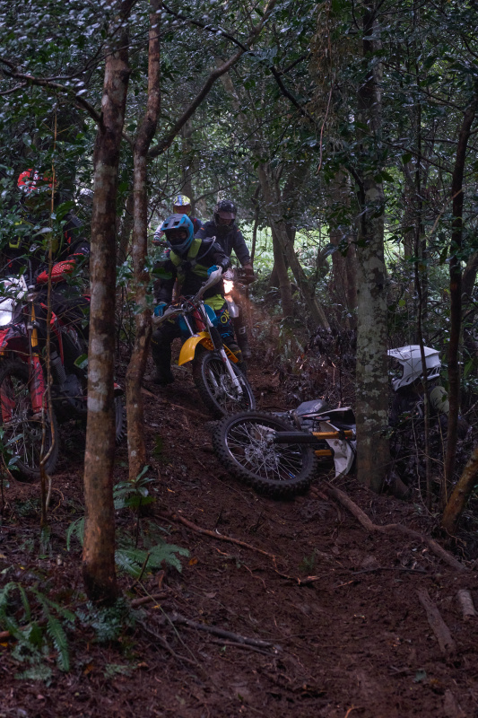 TORRA 三義 比賽 2024.11