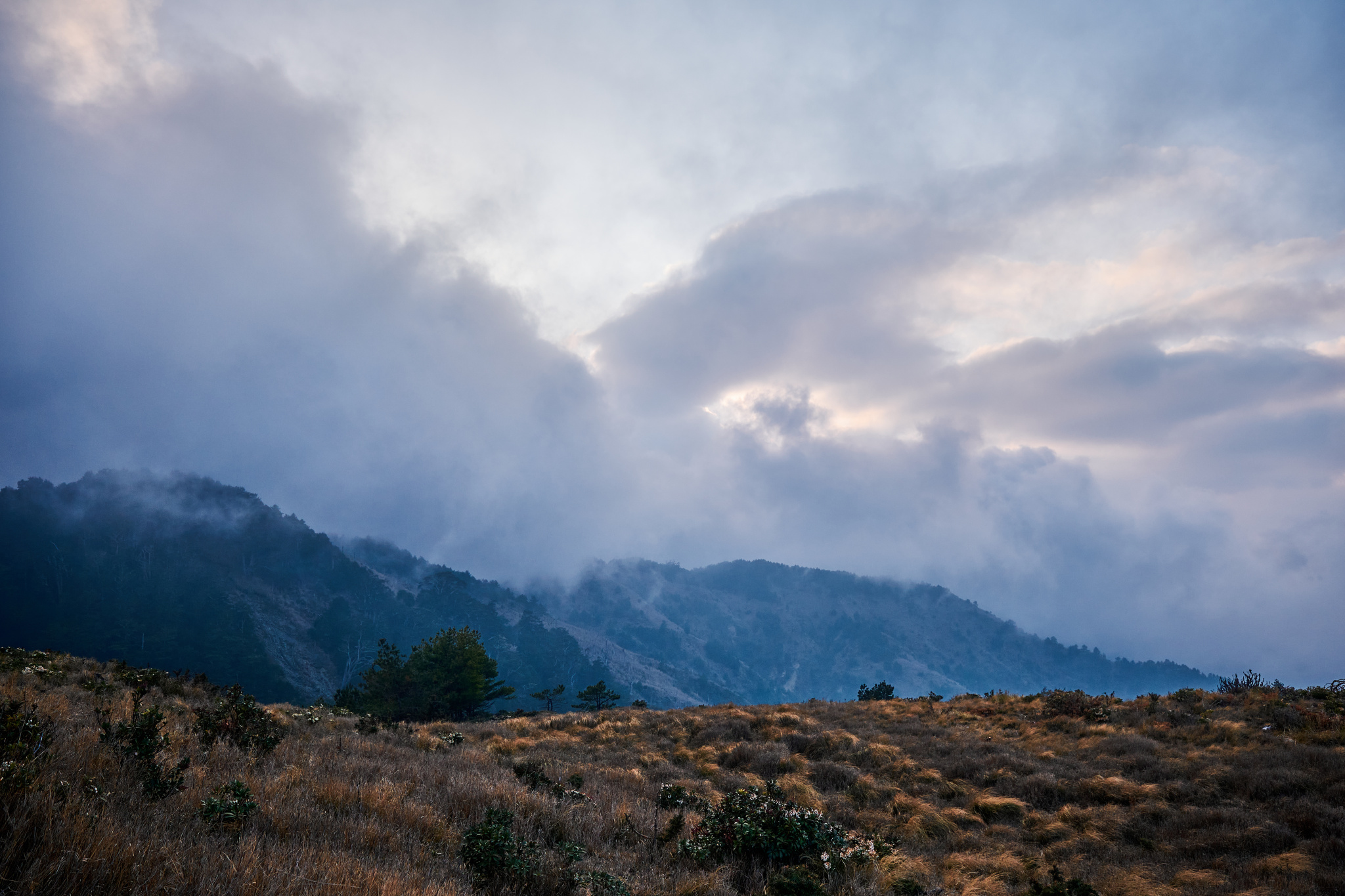丹大林道 // Danda Forest Road