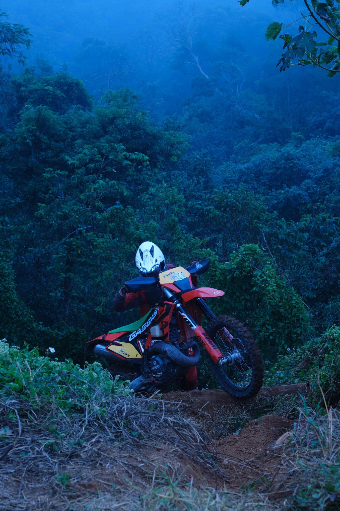 TORRA 三義 比賽 2024.11