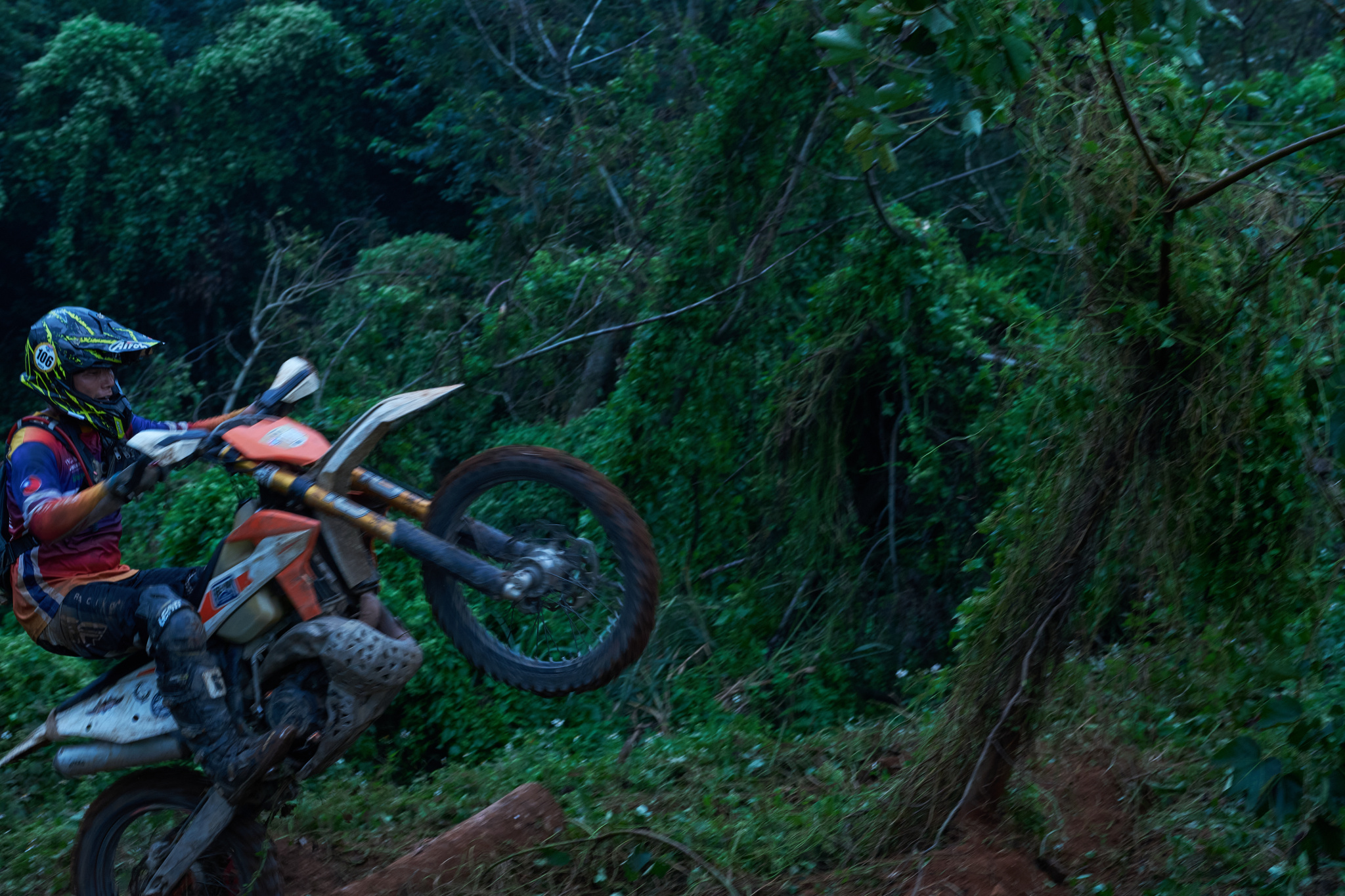 TORRA 三義 比賽 2024.11