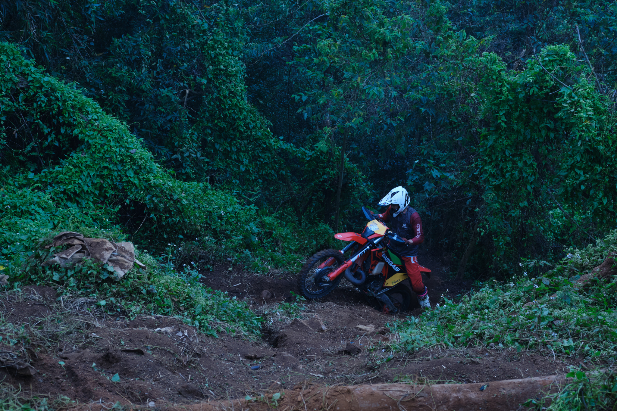 TORRA 三義 比賽 2024.11