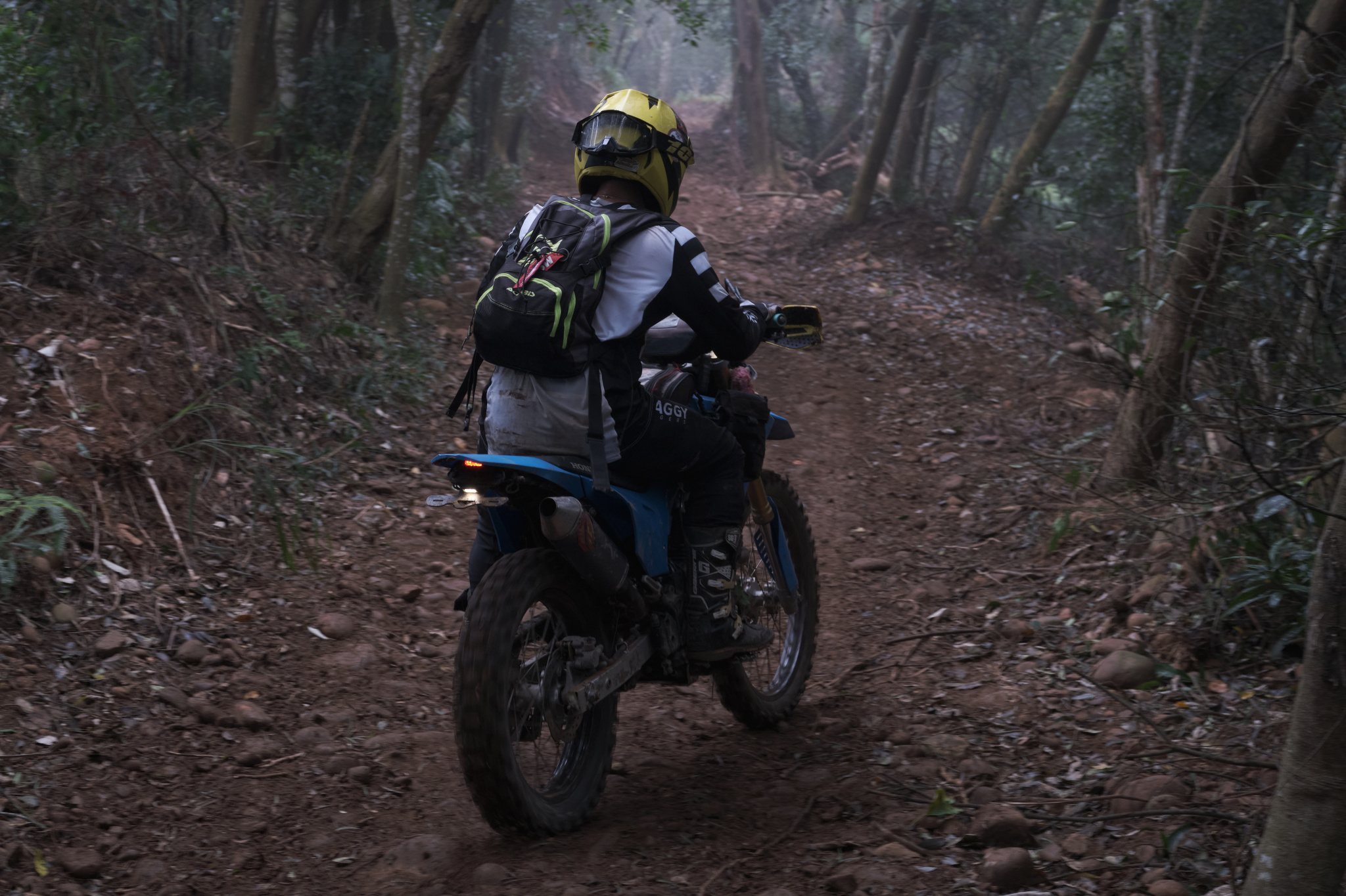 TORRA 三義 比賽 2024.11