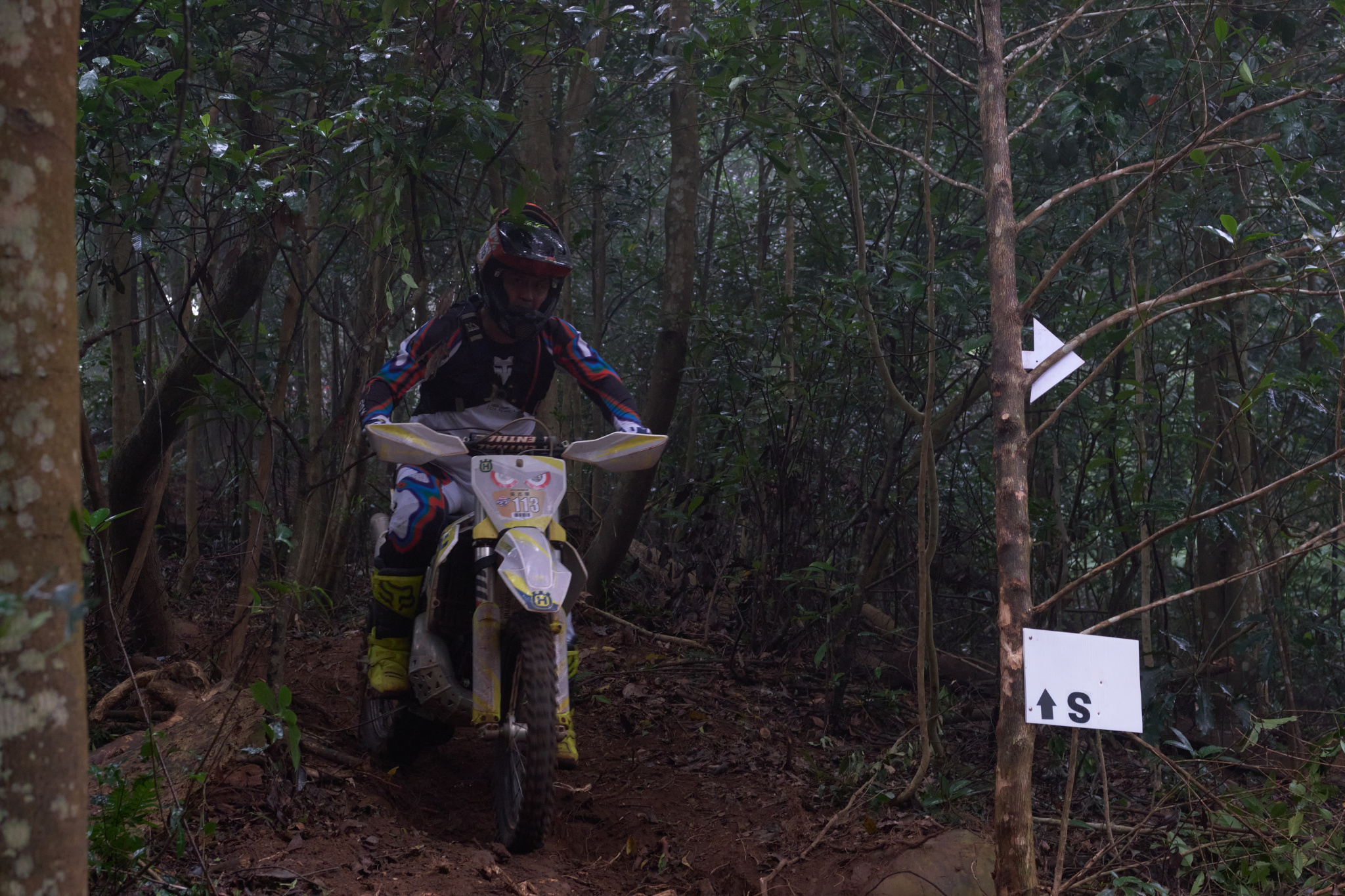 TORRA 三義 比賽 2024.11