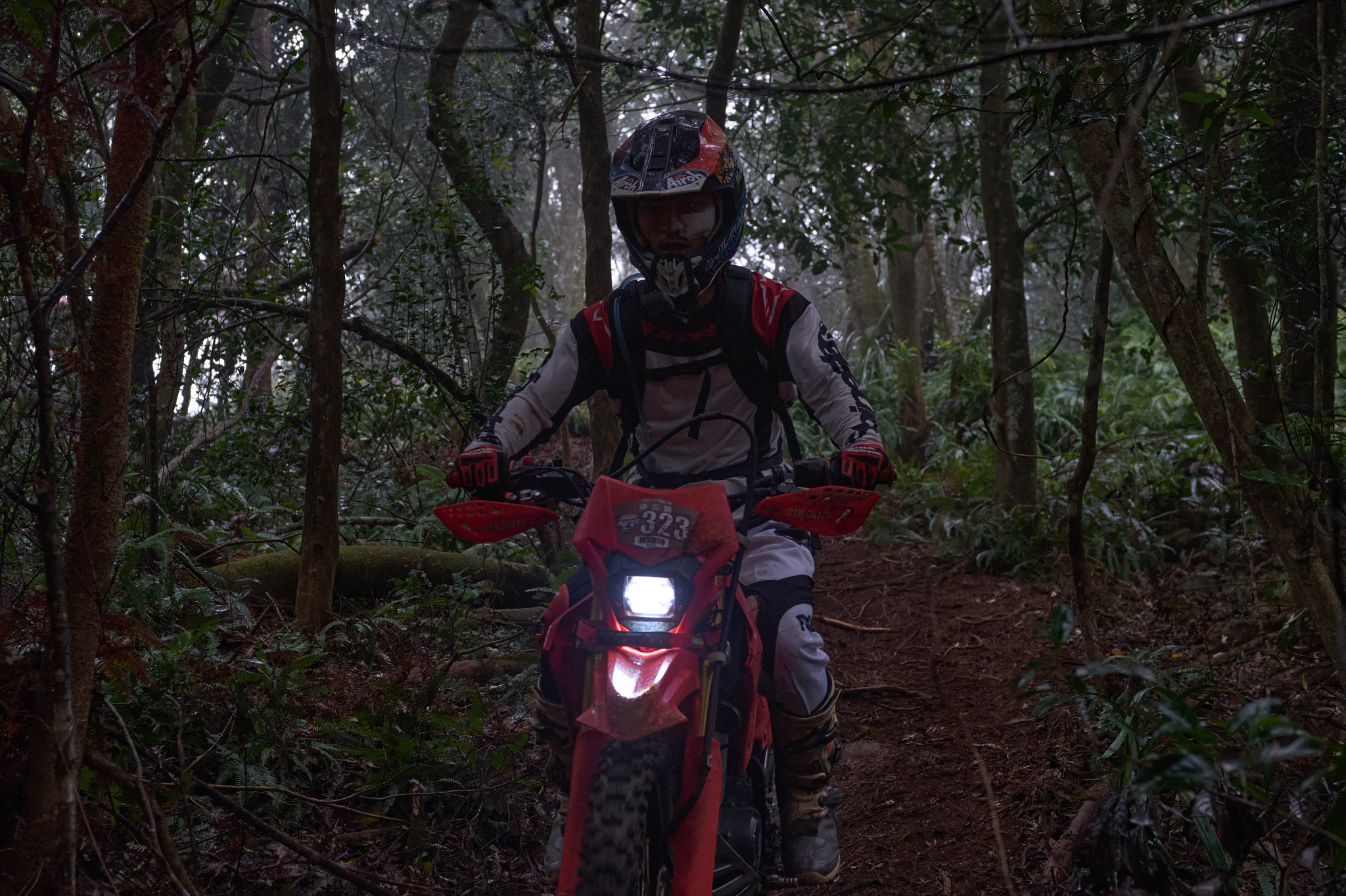 TORRA 三義 比賽 2024.11