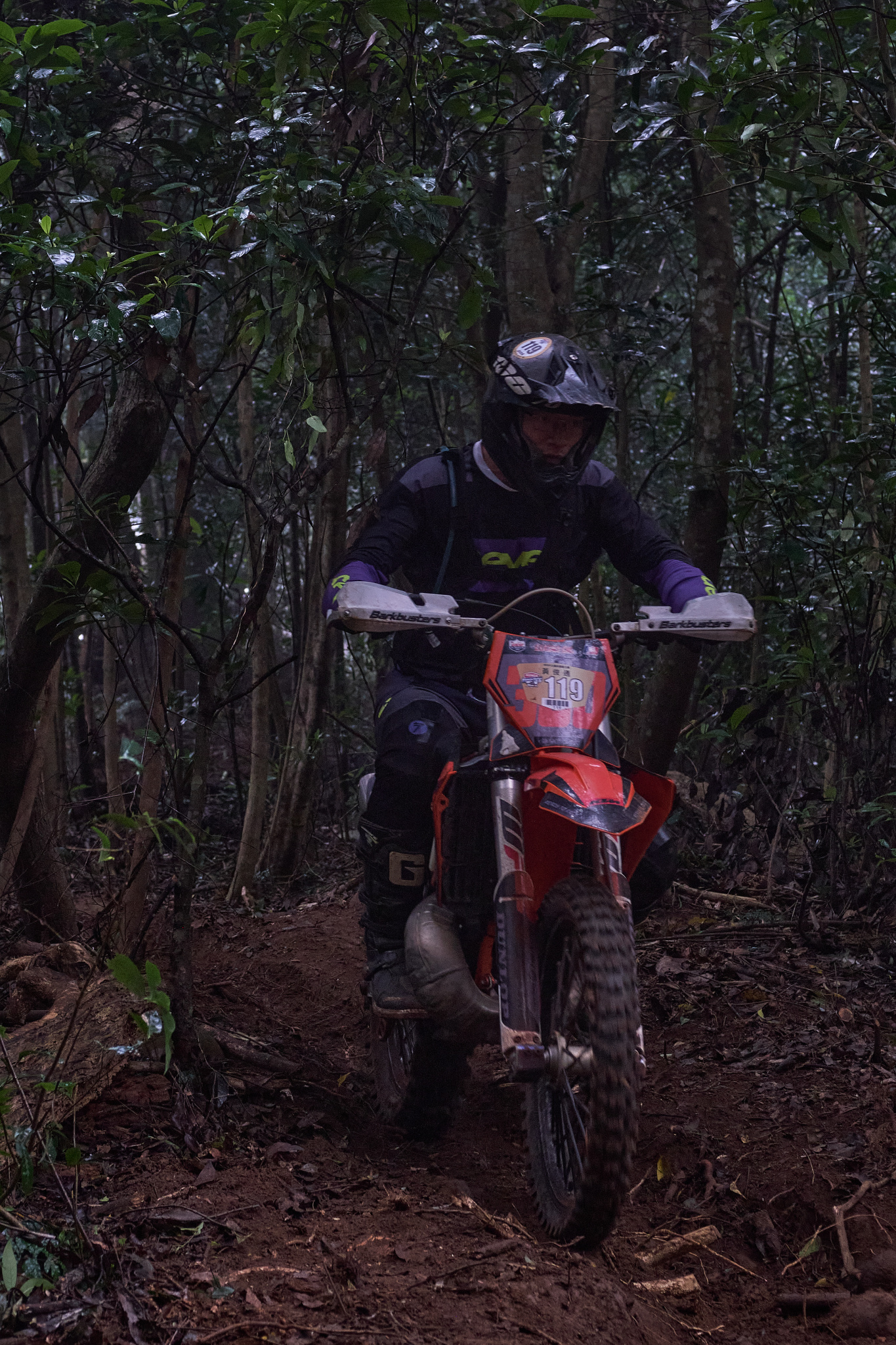 TORRA 三義 比賽 2024.11