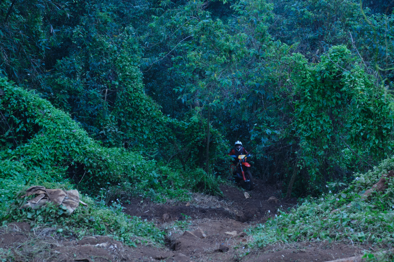 TORRA 三義 比賽 2024.11