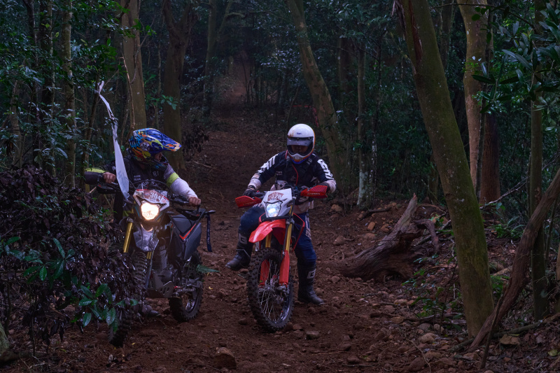 TORRA 三義 比賽 2024.11