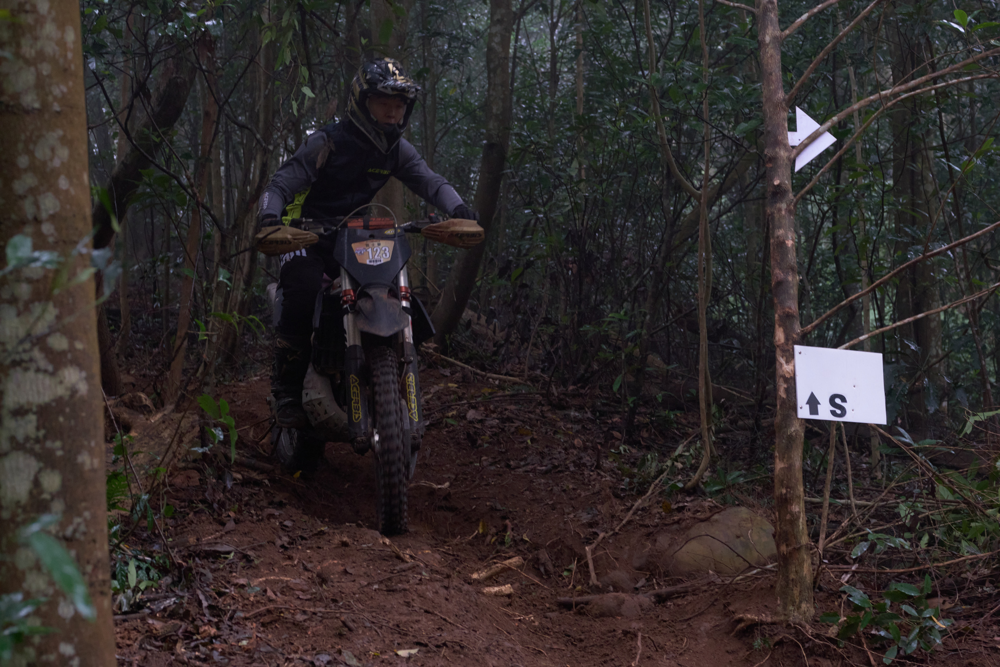 TORRA 三義 比賽 2024.11