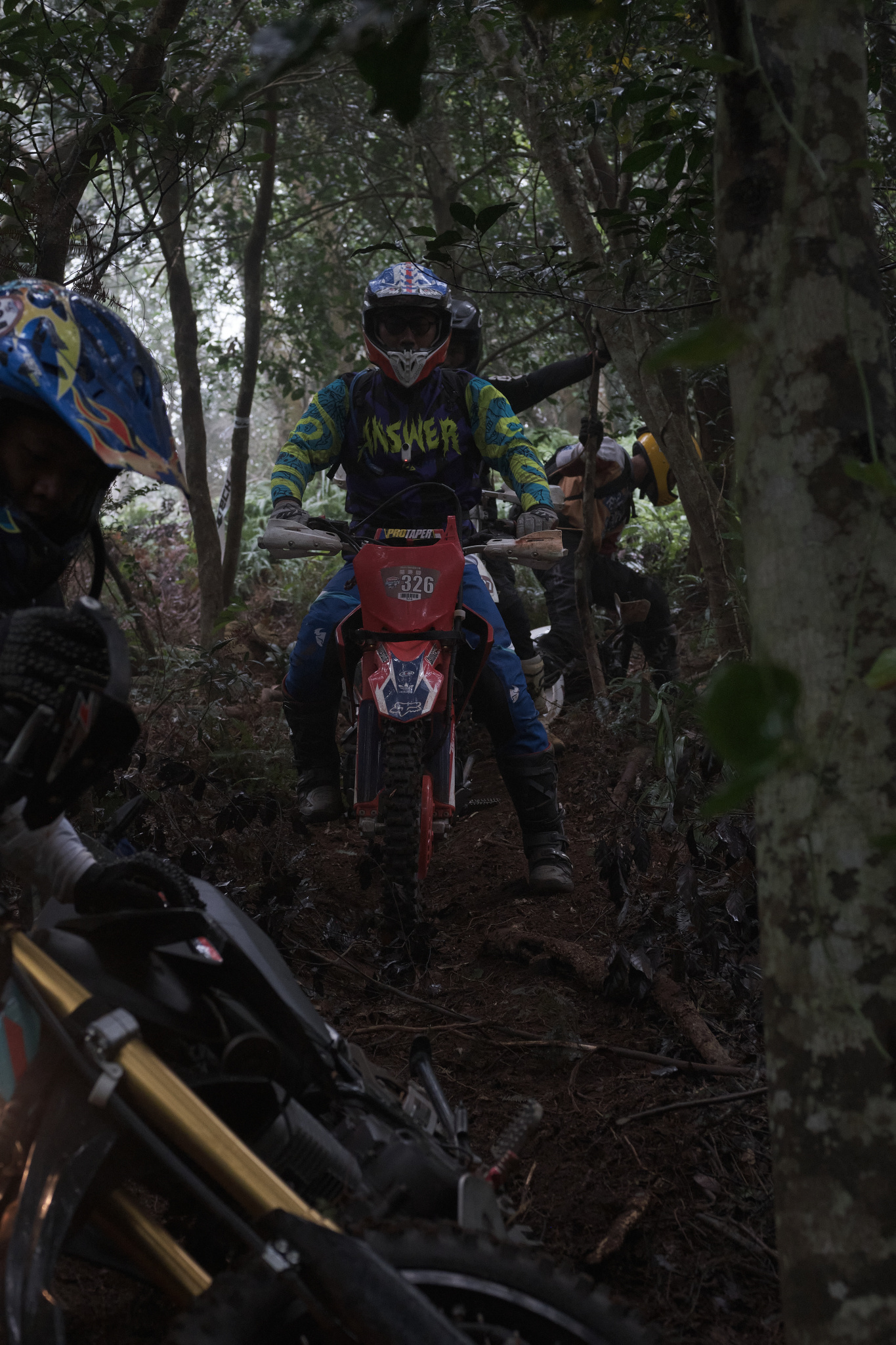 TORRA 三義 比賽 2024.11