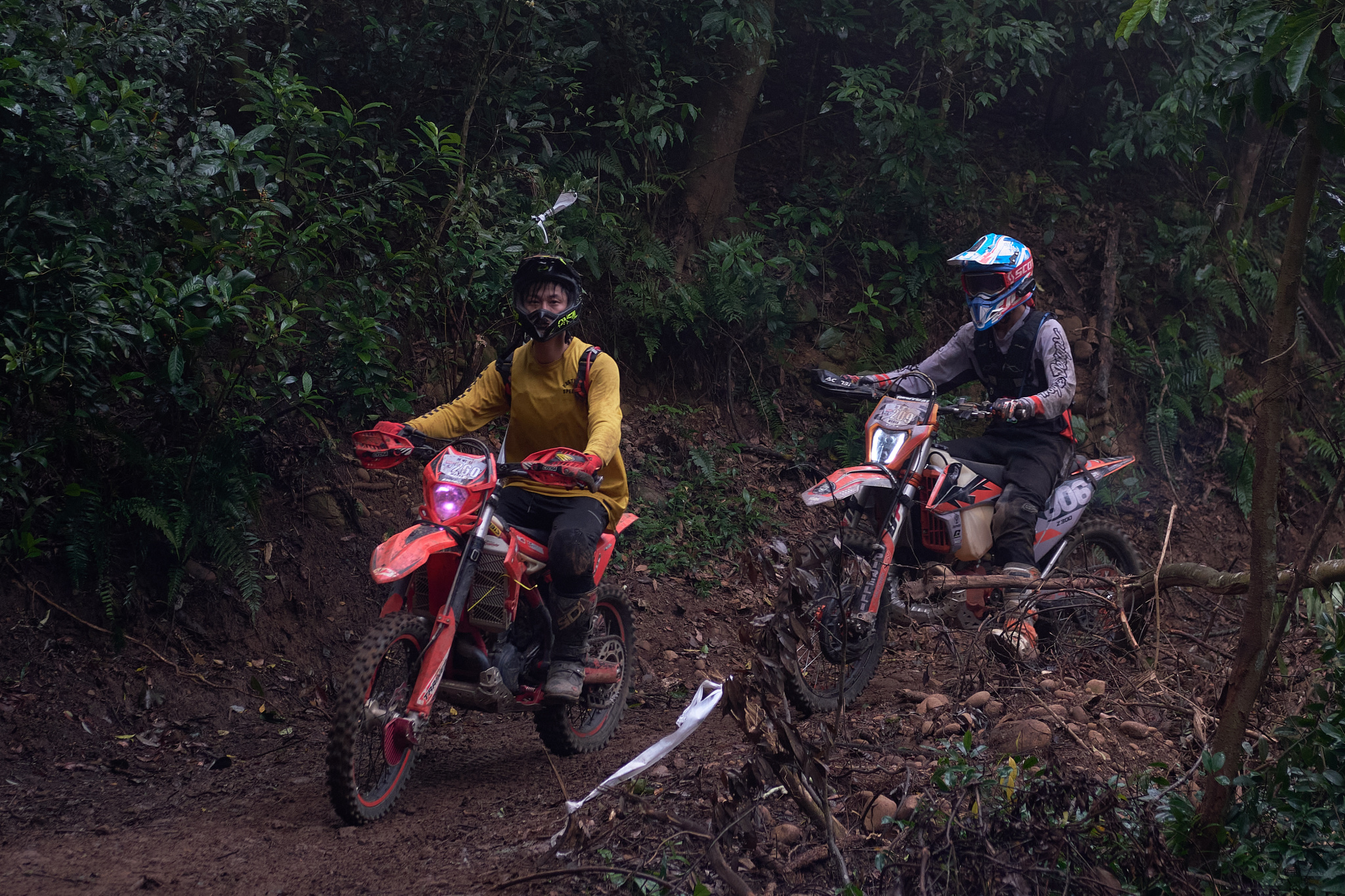 TORRA 三義 比賽 2024.11