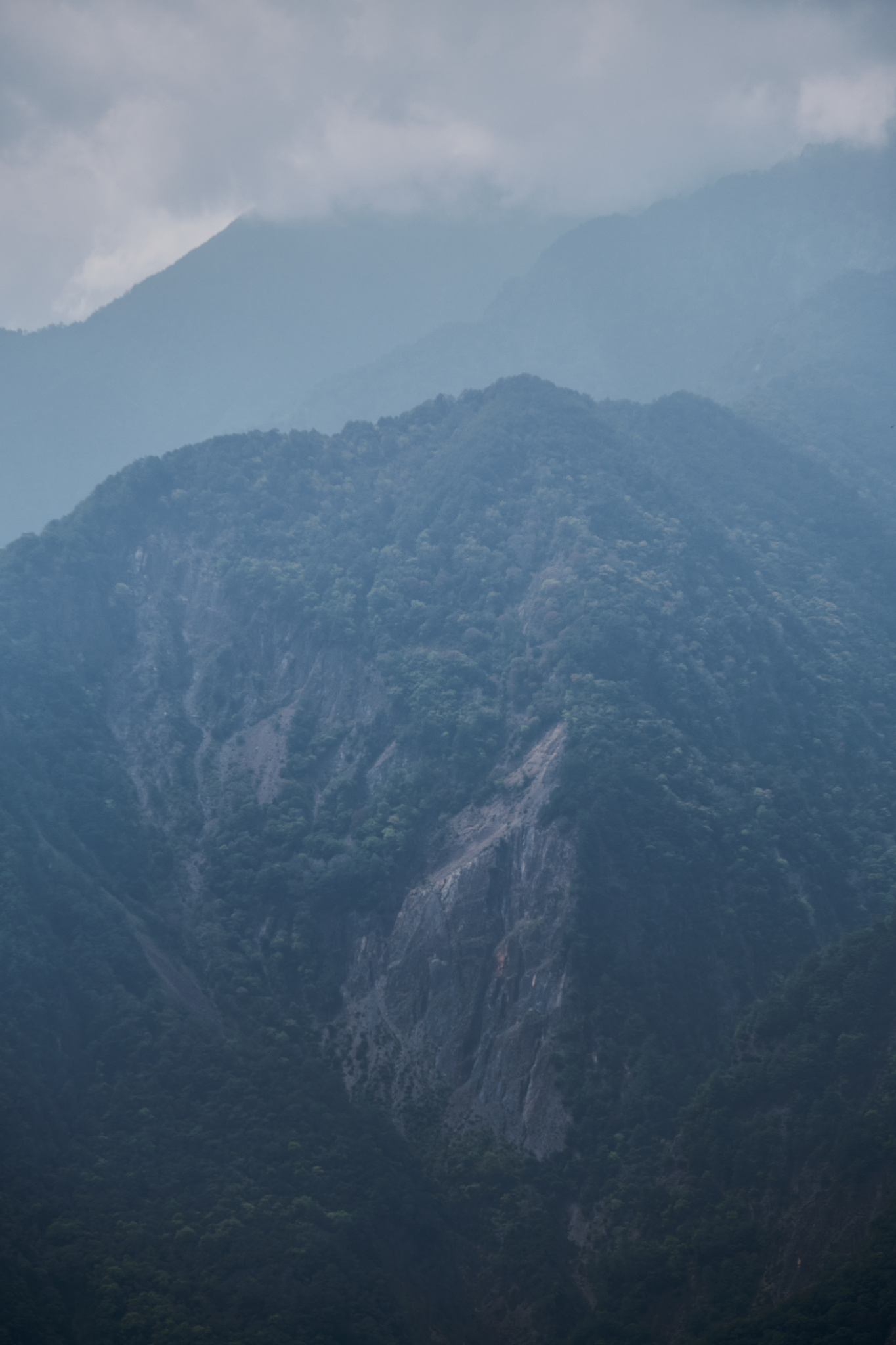 丹大林道 // Danda Forest Road