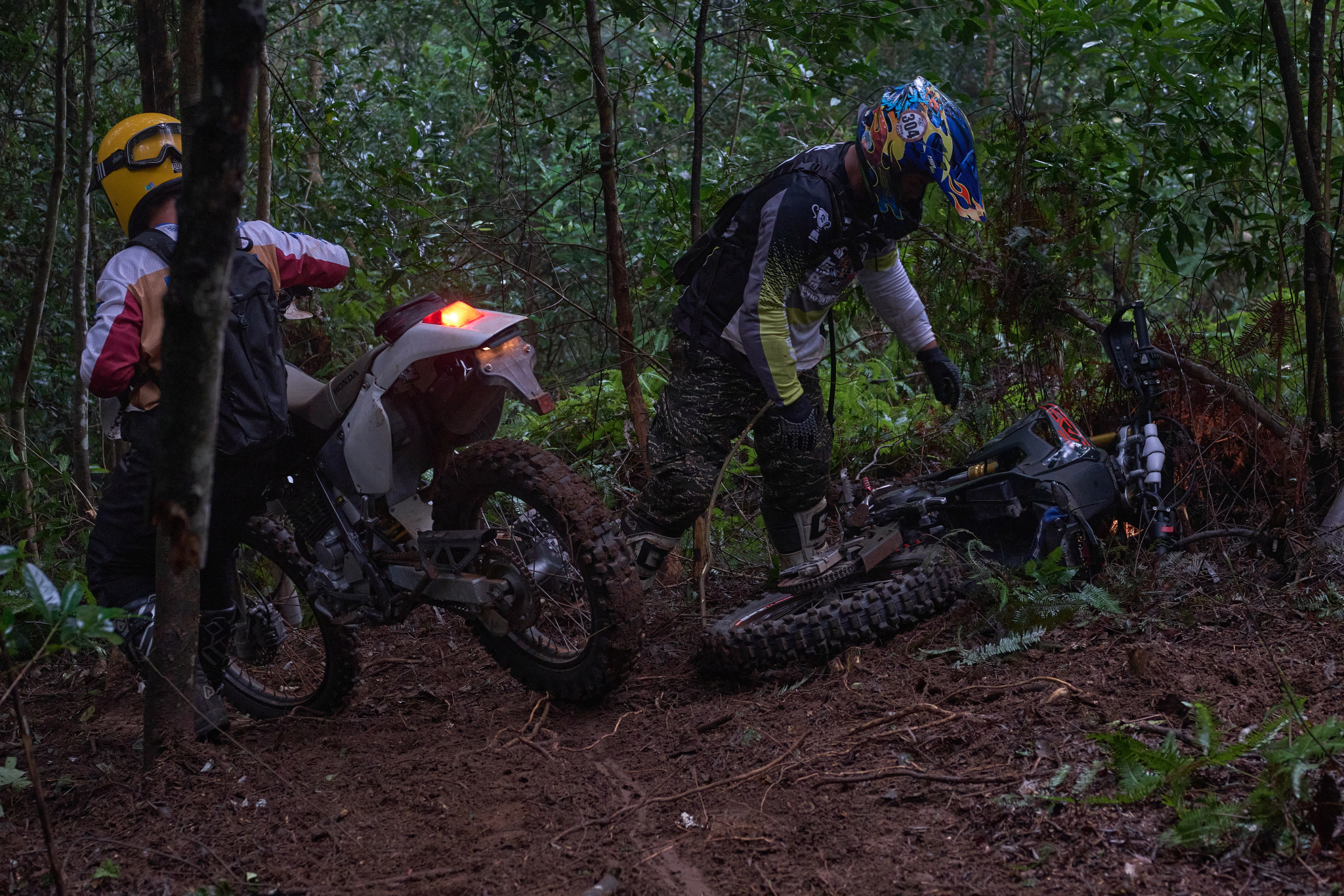 TORRA 三義 比賽 2024.11