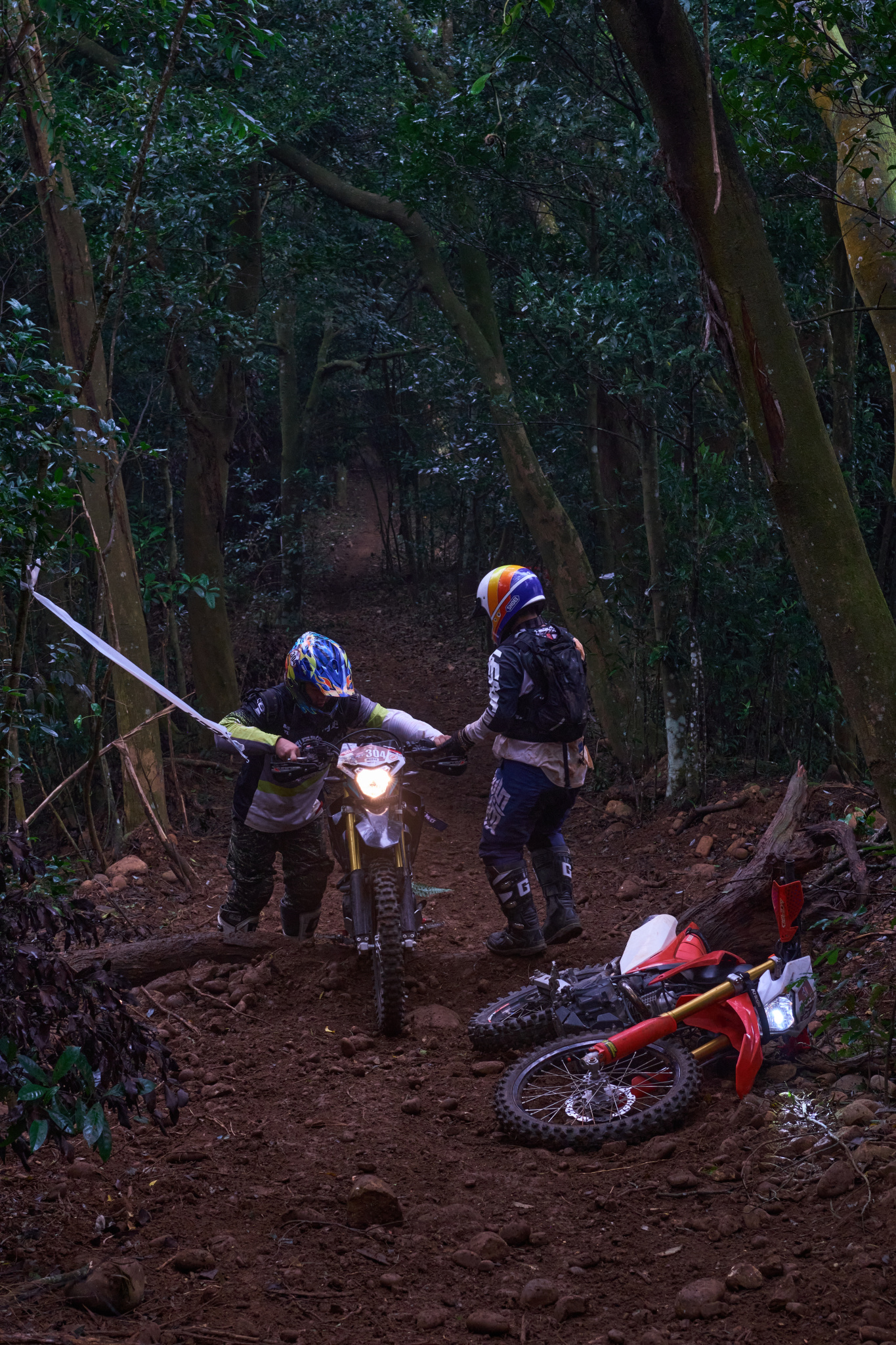 TORRA 三義 比賽 2024.11