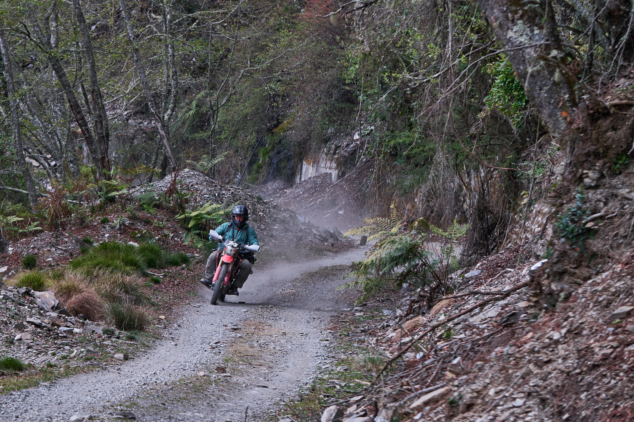 丹大林道 // Danda Forest Road
