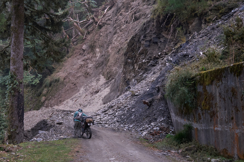 丹大林道 // Danda Forest Road
