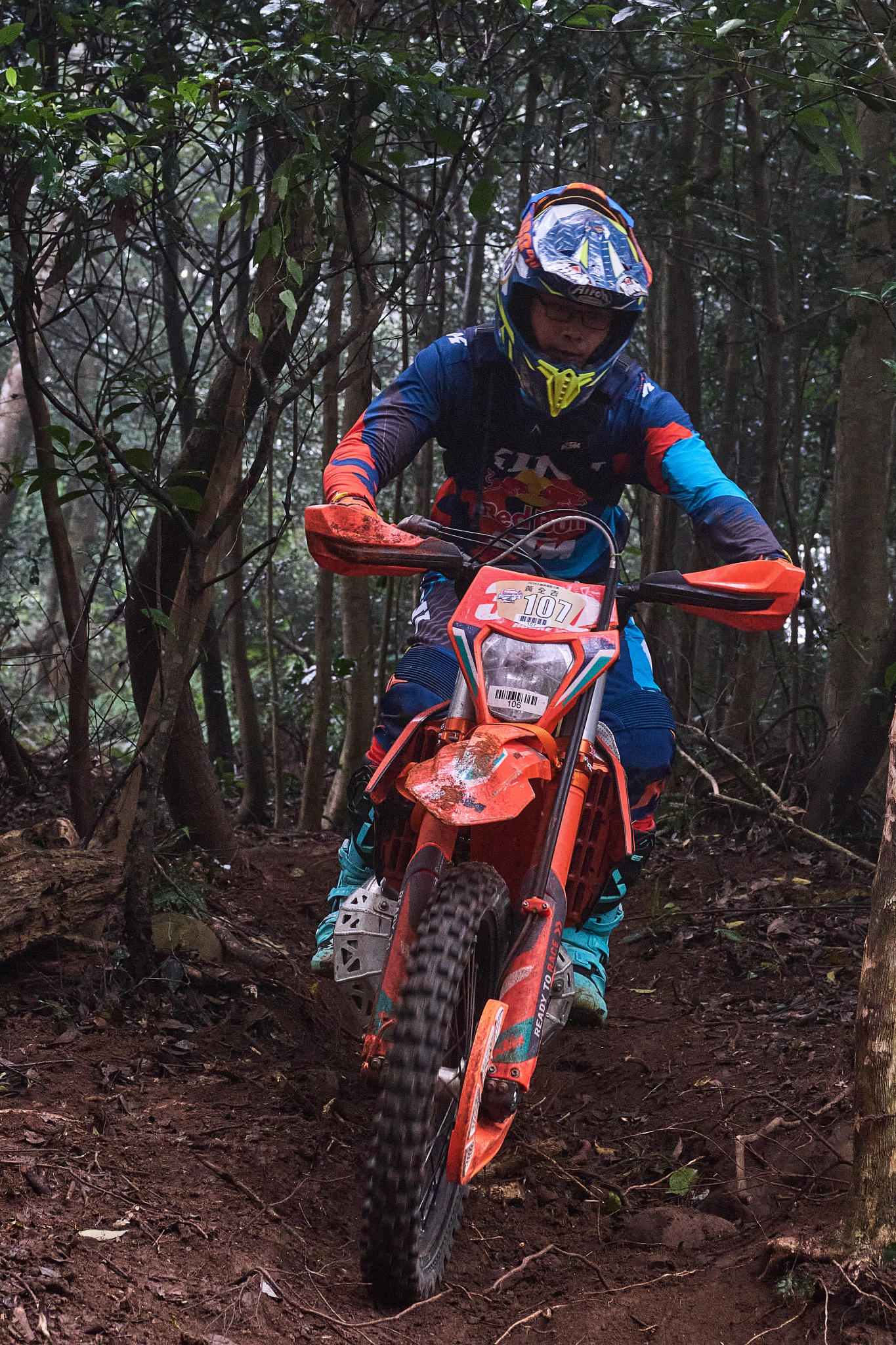 TORRA 三義 比賽 2024.11