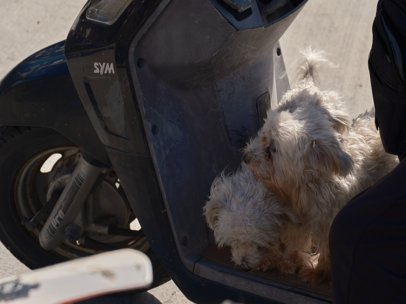 墾丁大會師 (2024) // Kenting Grand Meeting (2024)