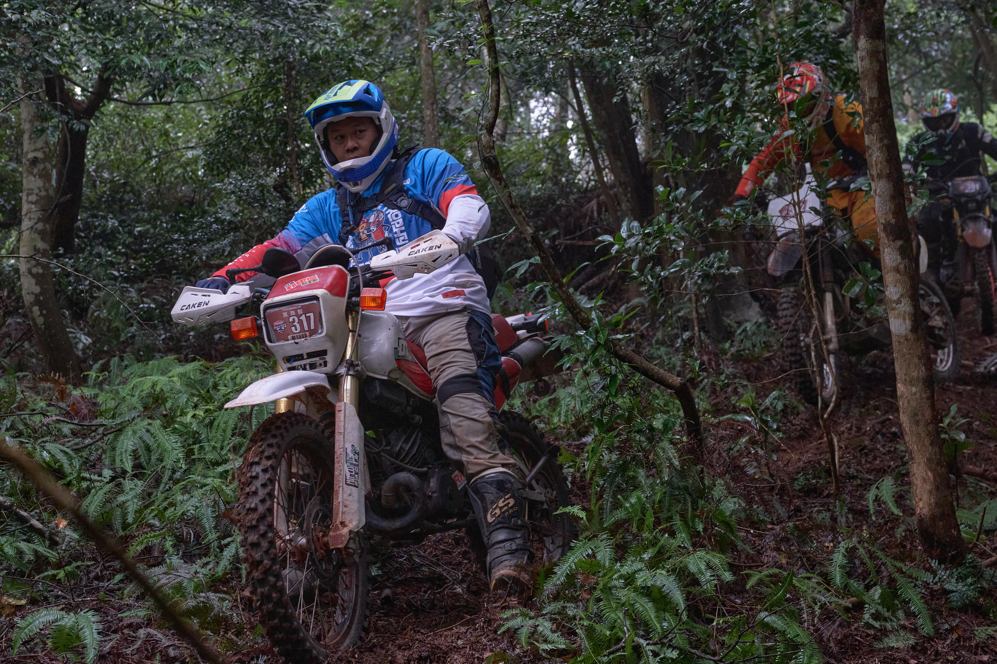 TORRA 三義 比賽 2024.11