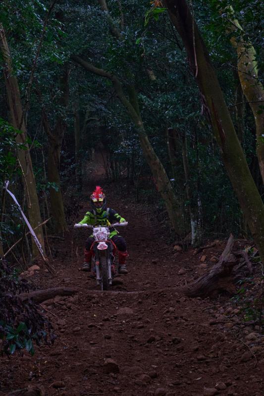 TORRA 三義 比賽 2024.11